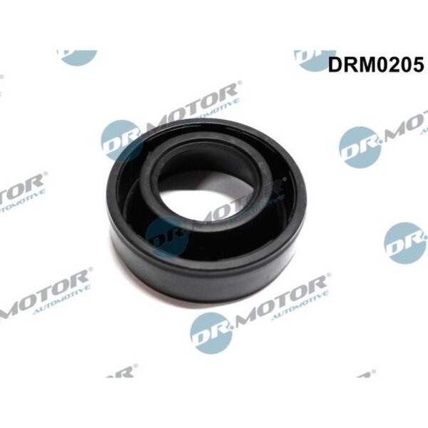 Dr.Motor Automotive DRM0205 Dichtung, Düsenhalter