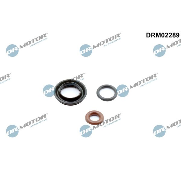 Dr.Motor Automotive DRM02289 Dichtungssatz, Einspritzdüse
