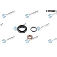 Dr.Motor Automotive DRM02289 Dichtungssatz,...