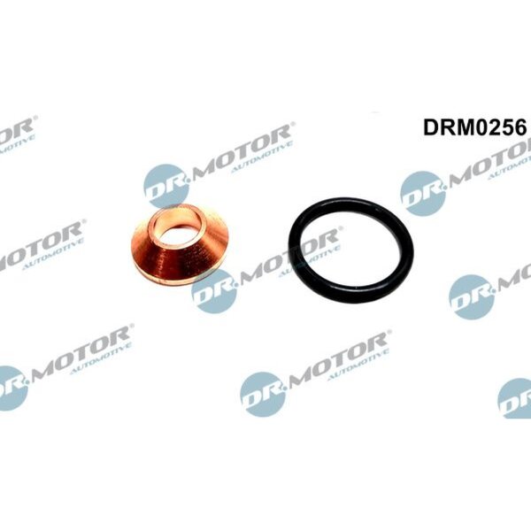 Dr.Motor Automotive DRM0256 Dichtungssatz, Einspritzdüse
