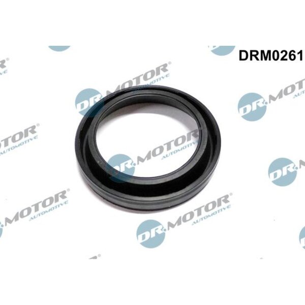 Dr.Motor Automotive DRM0261 Dichtung, Düsenhalter