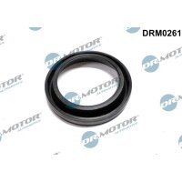 Dr.Motor Automotive DRM0261 Dichtung, Düsenhalter