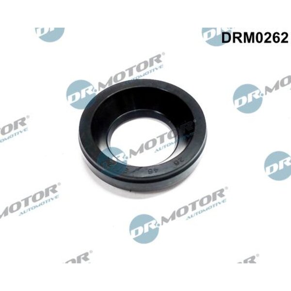 Dr.Motor Automotive DRM0262 Dichtung, Düsenhalter