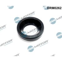 Dr.Motor Automotive DRM0262 Dichtung, Düsenhalter