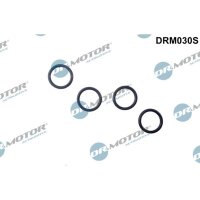 Dr.Motor Automotive DRM030S Dichtring, Einspritzventil