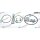 Dr.Motor Automotive DRM046 Reparatursatz, Unterdruckpumpe (Bremsanlage)