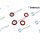 Dr.Motor Automotive DRM0482S Dichtring, Einspritzventil