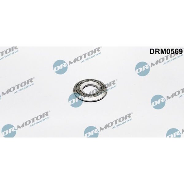 Dr.Motor Automotive DRM0569 Wärmeschutzscheibe, Einspritzanlage
