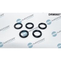 Dr.Motor Automotive DRM0607 Dichtung, Ölsieb