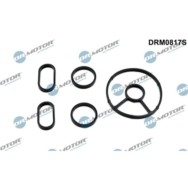 Dr.Motor Automotive DRM0817S Dichtungssatz, Ölkühler