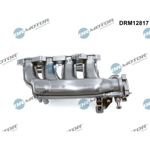 Dr.Motor Automotive DRM12817 Saugrohrmodul