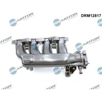 Dr.Motor Automotive DRM12817 Saugrohrmodul