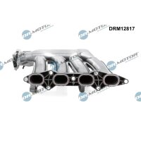 Dr.Motor Automotive DRM12817 Saugrohrmodul