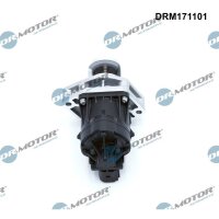 Dr.Motor Automotive DRM171101 AGR-Ventil