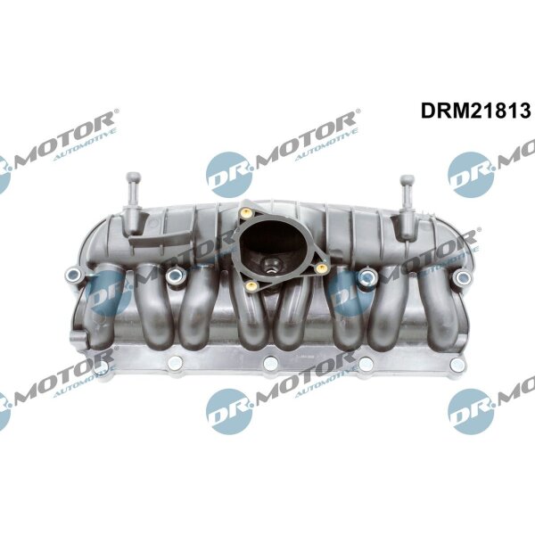Dr.Motor Automotive DRM21813 Saugrohrmodul