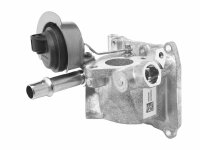 BorgWarner 710655D0 AGR-Ventil