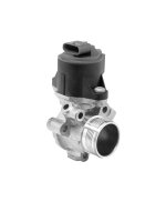 BorgWarner 710753D AGR-Ventil