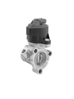 BorgWarner 710753D AGR-Ventil