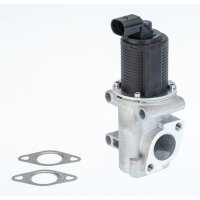 BorgWarner 710774D AGR-Ventil