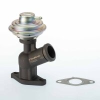 BorgWarner 710922D AGR-Ventil