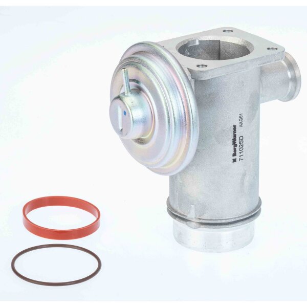 BorgWarner 711025D AGR-Ventil