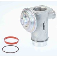 BorgWarner 711025D AGR-Ventil