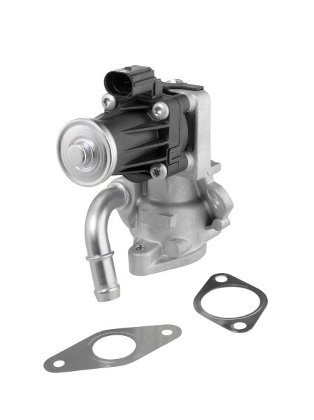 BorgWarner 712017D AGR-Ventil