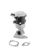 BorgWarner 712056D AGR-Ventil