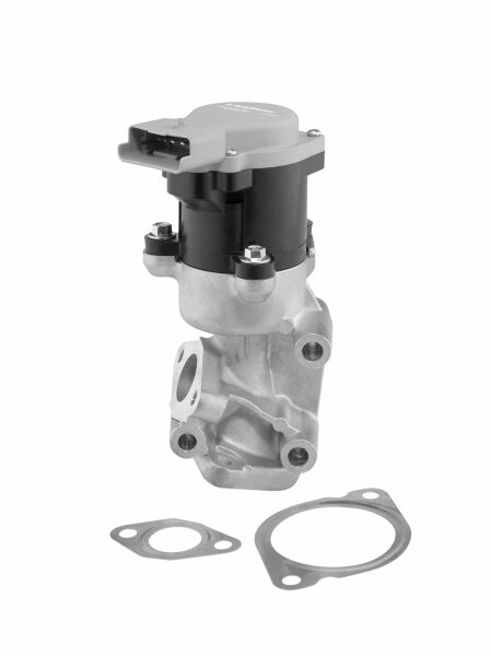 BorgWarner 712057D AGR-Ventil