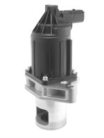 BorgWarner 712077D AGR-Ventil