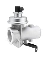 BorgWarner 712080D AGR-Ventil