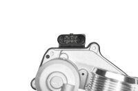 BorgWarner 729004D AGR-Ventil