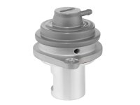 BorgWarner 729007D AGR-Ventil
