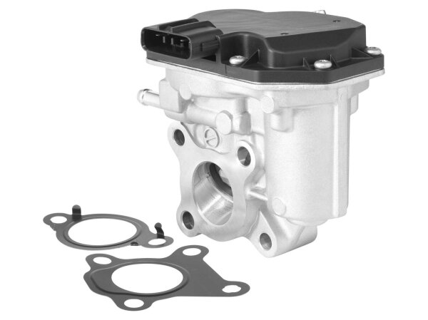 BorgWarner 729008D AGR-Ventil