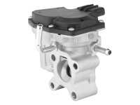 BorgWarner 729008D AGR-Ventil