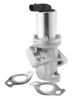 BorgWarner 729019D AGR-Ventil