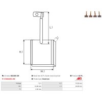 AS-PL BSX208-209 Kohlebürste, Starter