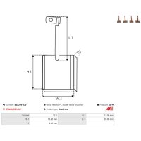 AS-PL BSX229-230 Kohlebürste, Starter