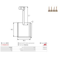 AS-PL BSX76 Kohlebürste, Starter