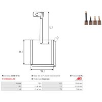 AS-PL JSX43-45-44 Kohlebürste, Starter