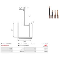 AS-PL JSX51-52-63 Kohlebürste, Starter
