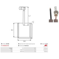 AS-PL SB1002 Kohlebürste, Starter