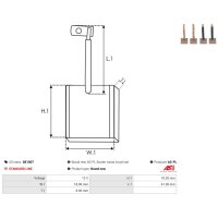 AS-PL SB1007 Kohlebürste, Starter