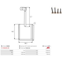AS-PL SB2003 Kohlebürste, Starter