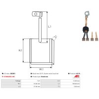 AS-PL SB3001 Kohlebürste, Starter