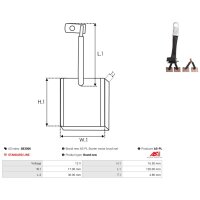 AS-PL SB3006 Kohlebürste, Starter