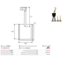 AS-PL SB3008S Kohlebürste, Starter