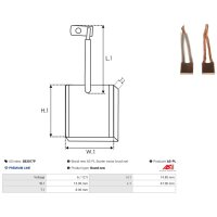AS-PL SB3017P Kohlebürste, Starter