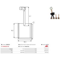 AS-PL SB3021S Kohlebürste, Starter