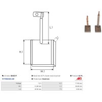 AS-PL SB4021P Kohlebürste, Starter